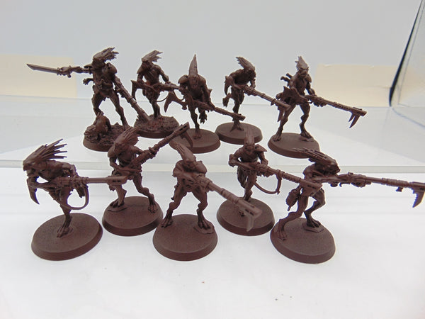 Kroot Carnivores