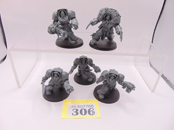 Wolf Guard Terminators