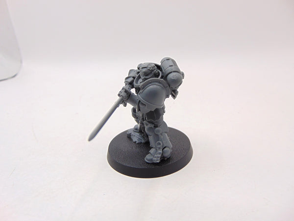 Primaris Company Champion