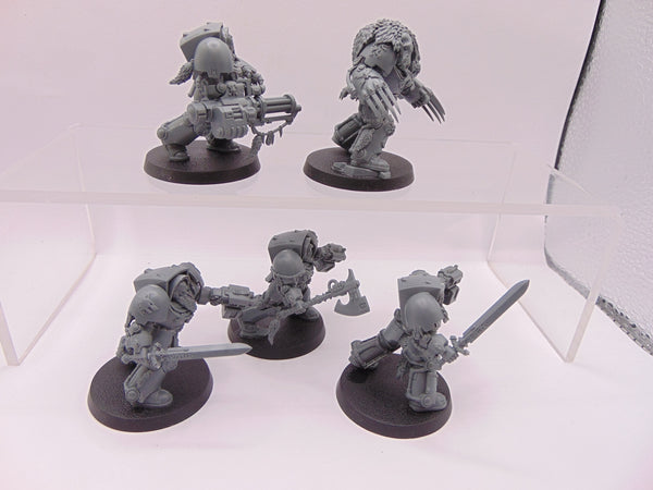 Wolf Guard Terminators