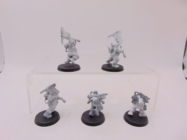Cthonian Beserks