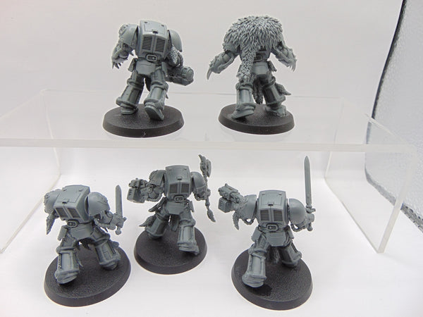 Wolf Guard Terminators