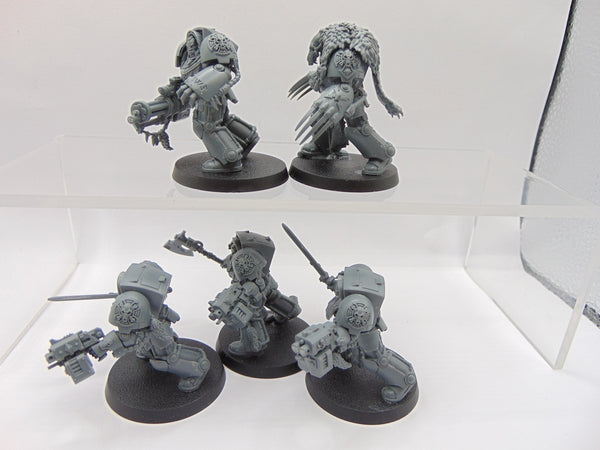 Wolf Guard Terminators