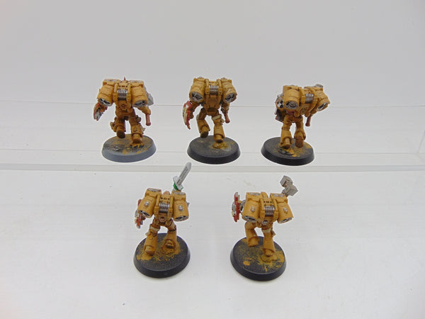 Vanguard Veterans