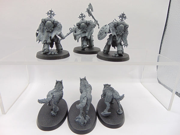 Wolf Guard Headtakers