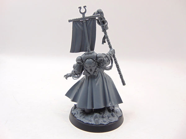 Chief Librarian Tigurius