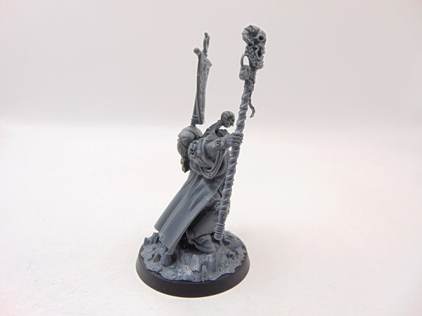 Chief Librarian Tigurius