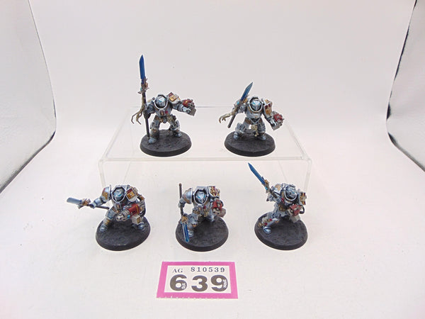 Brotherhood Terminator Squad