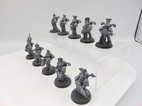 Rubric Marines