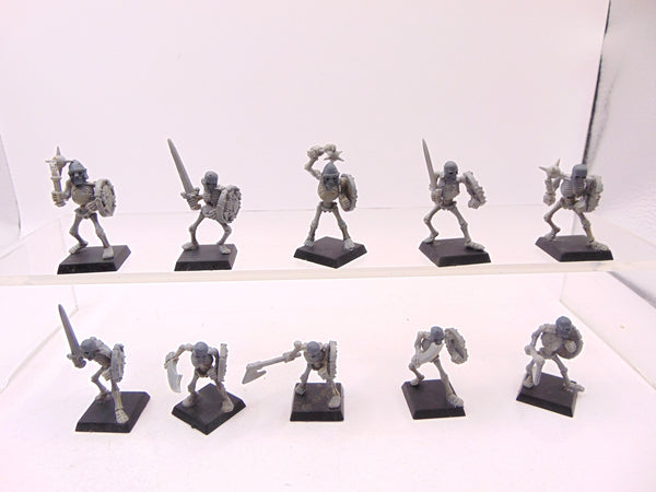 Skeleton Warriors