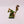 Skink Priest