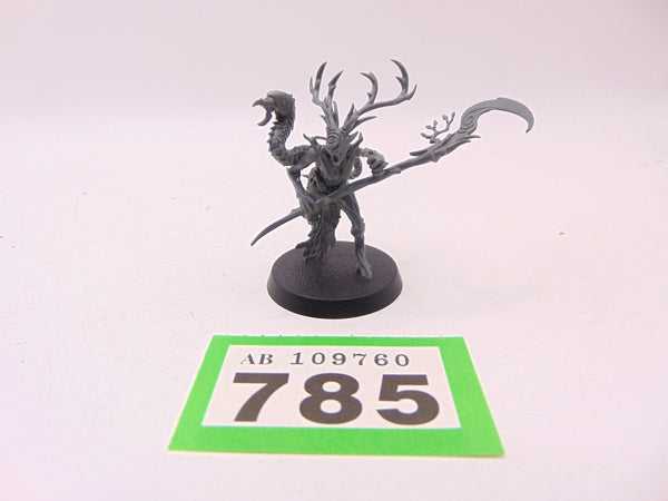 Branchwych