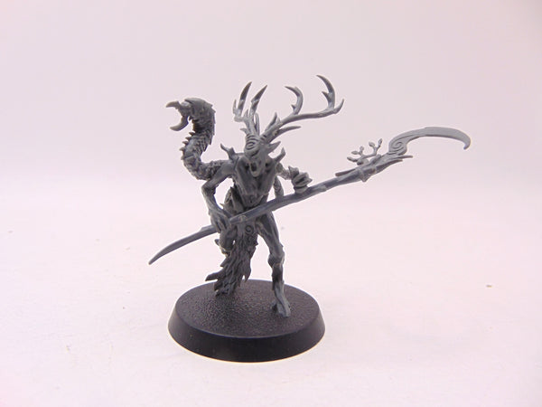 Branchwych
