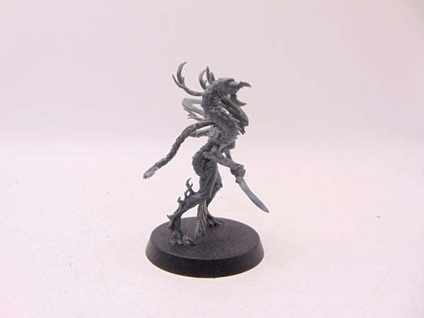 Branchwych