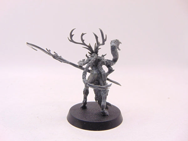 Branchwych