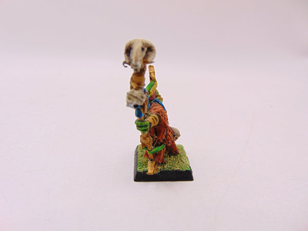 Skink Priest