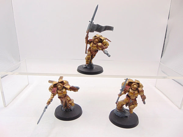 Sanguinary Guard