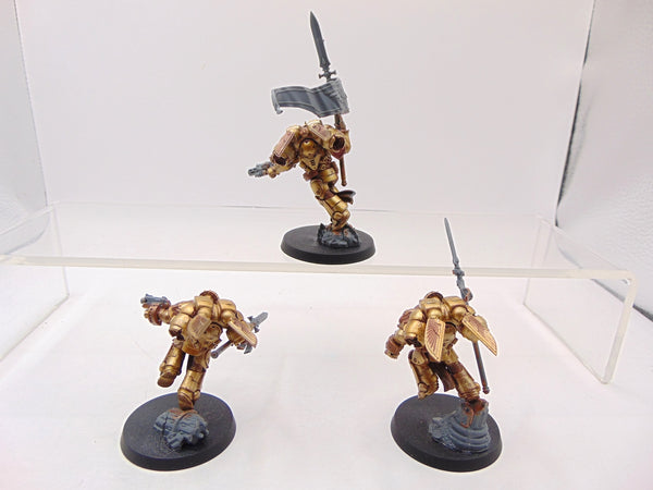 Sanguinary Guard