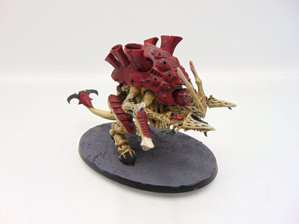 Carnifex
