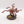 Chaos Spawn