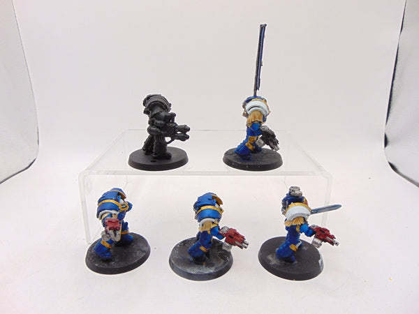 Cataphractii Terminator Squad