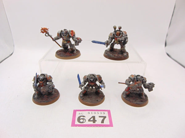 Brotherhood Terminator Squad