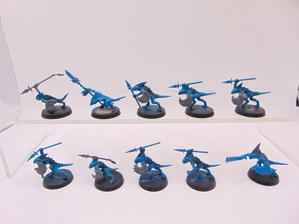 Skinks
