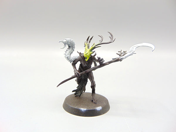 Branchwych