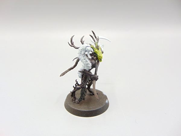 Branchwych