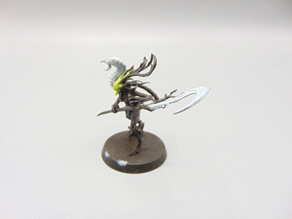 Branchwych