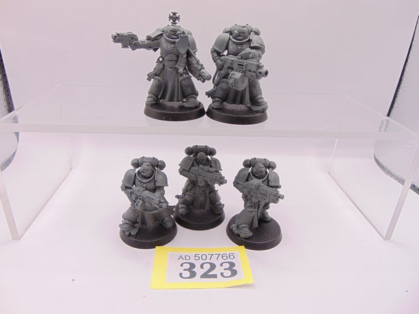 Sternguard Veterans