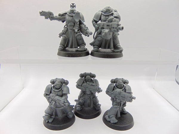 Sternguard Veterans