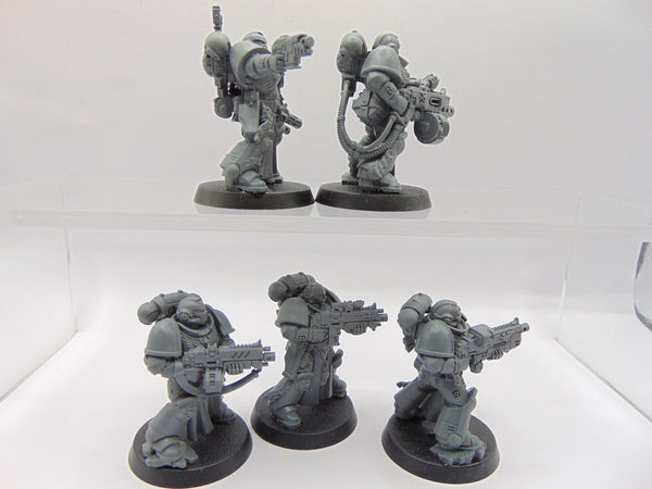 Sternguard Veterans