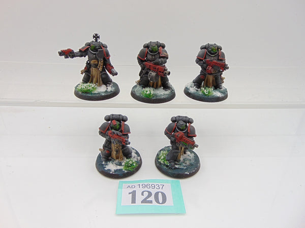 Sternguard Veterans