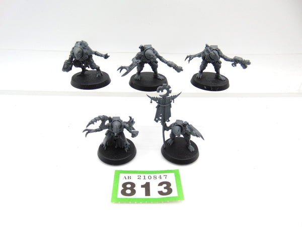 Hybrid Metamorphs