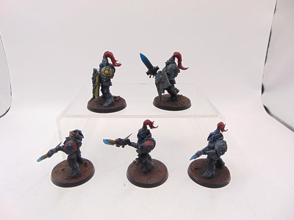Custodian Guard