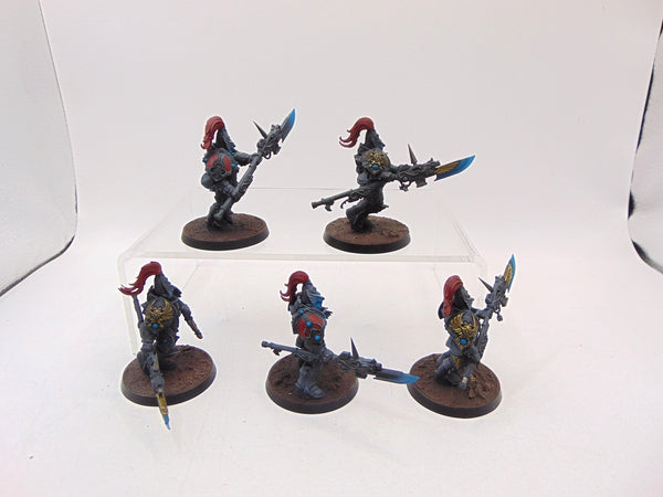 Custodian Guard