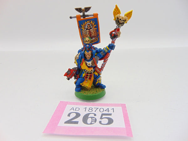 Chief Librarian Tigurius