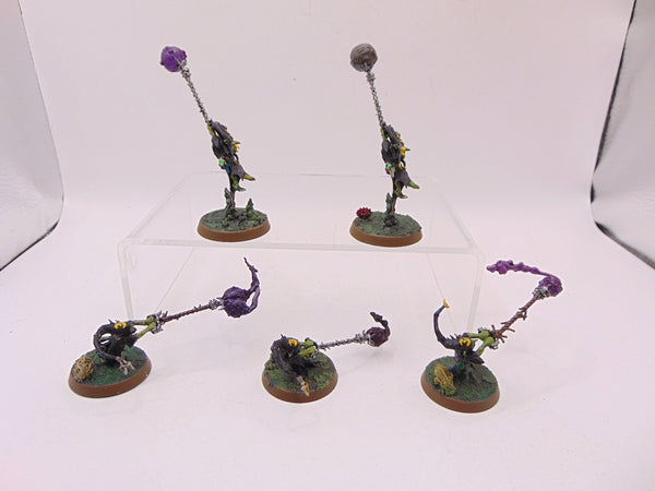 Sporesplatta Fanatics