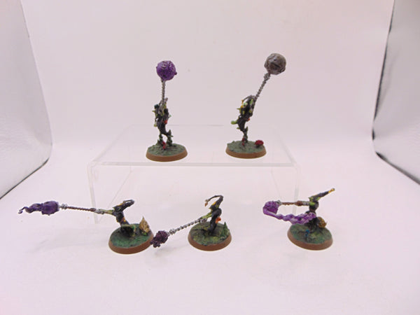 Sporesplatta Fanatics