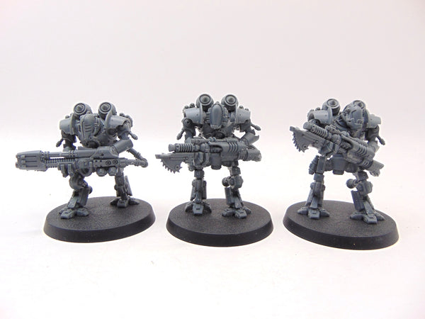 Thallax Cohort