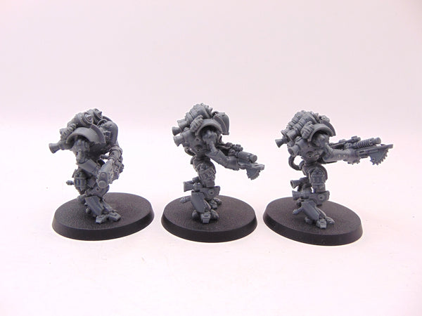 Thallax Cohort