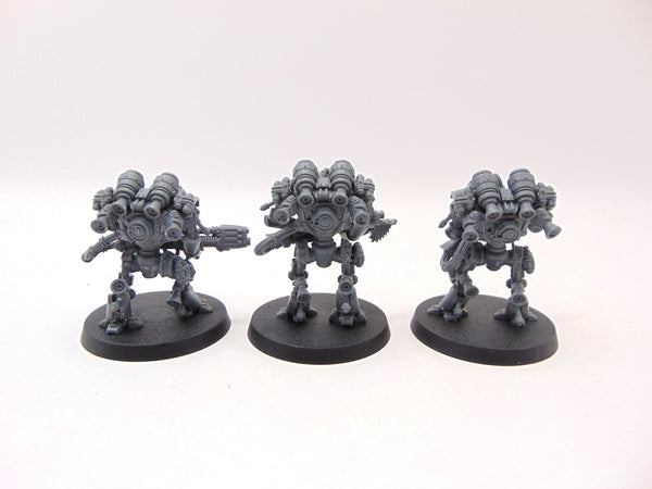 Thallax Cohort