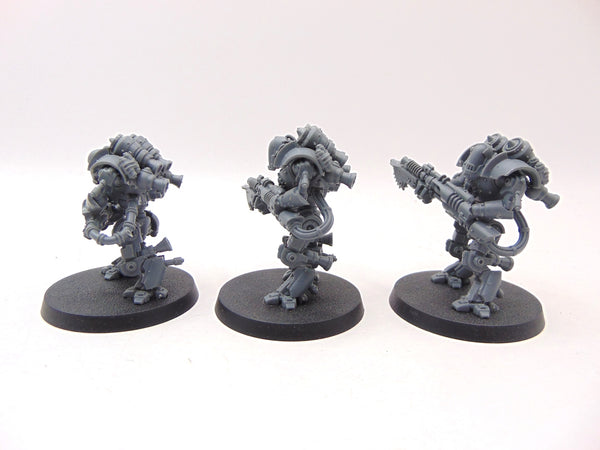 Thallax Cohort