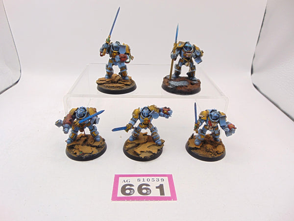 Brotherhood Terminator Squad