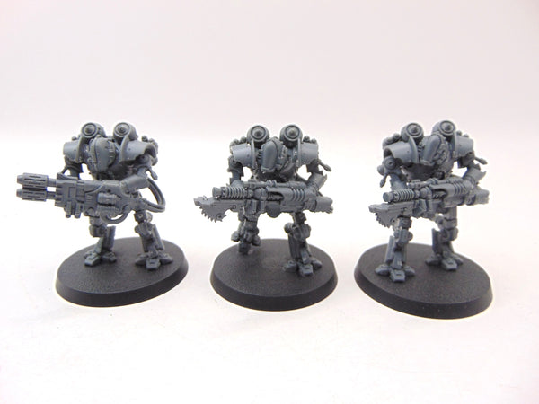 Thallax Cohort