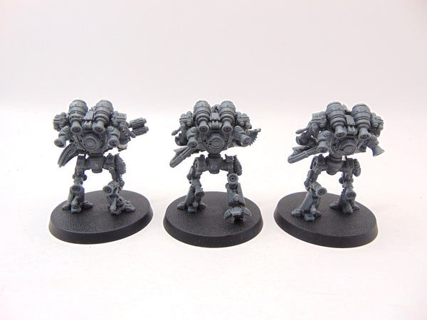 Thallax Cohort
