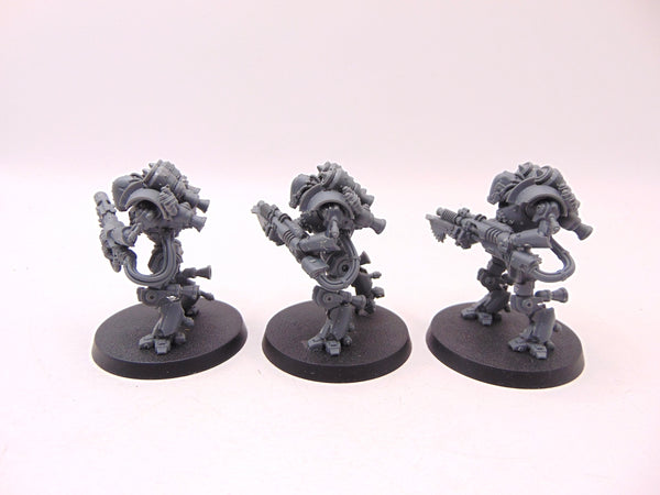 Thallax Cohort