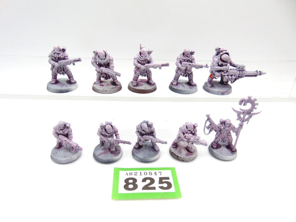 Neophyte Hybrids