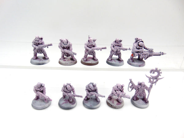 Neophyte Hybrids